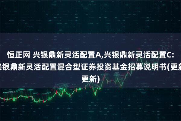 恒正网 兴银鼎新灵活配置A,兴银鼎新灵活配置C: 兴银鼎新灵活配置混合型证券投资基金招募说明书(更新)