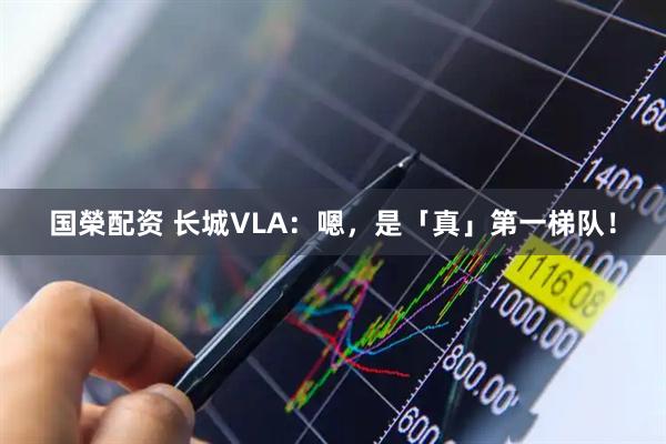 国榮配资 长城VLA：嗯，是「真」第一梯队！