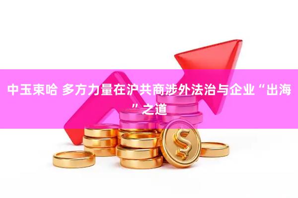 中玉束哈 多方力量在沪共商涉外法治与企业“出海”之道